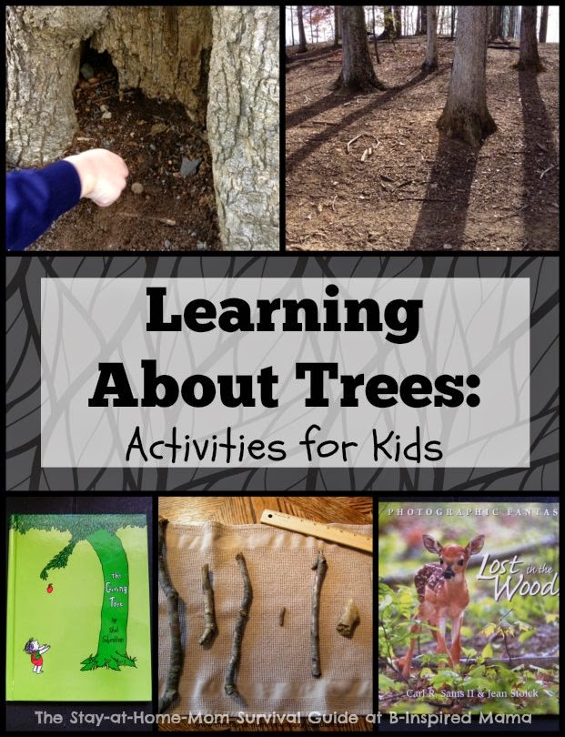 Learning about Trees for kids-reading, writing, math, and nature exploration to take learning from the playground to the home. Great, simple ideas for toddlers and preschoolers shared by The Stay-at-Home-Mom Survival Guide.
