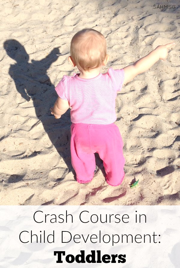 Toddlers can seem tricky, but if we understand their development with this crash course in child development toddlers edition, we just may save our sanity through the toddler years...maybe!