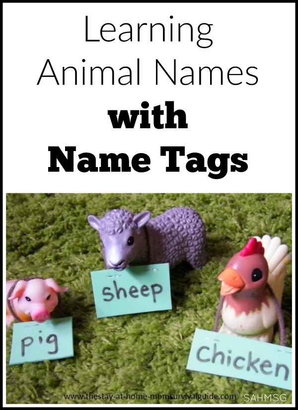 Kids interested in animal toys? Try adding an element of literacy to their play by learning animal names with name tags. A fun activity for toddlers and preschool.