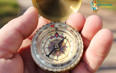 The Compass of Values