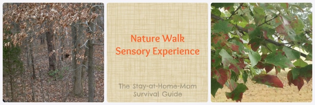 infant activity for autumn nature walk from The Stay-at-Home-Mom Survival Guide