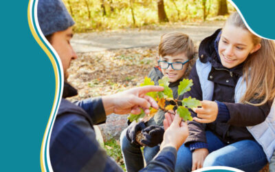Learning About Trees: Activities for Kids