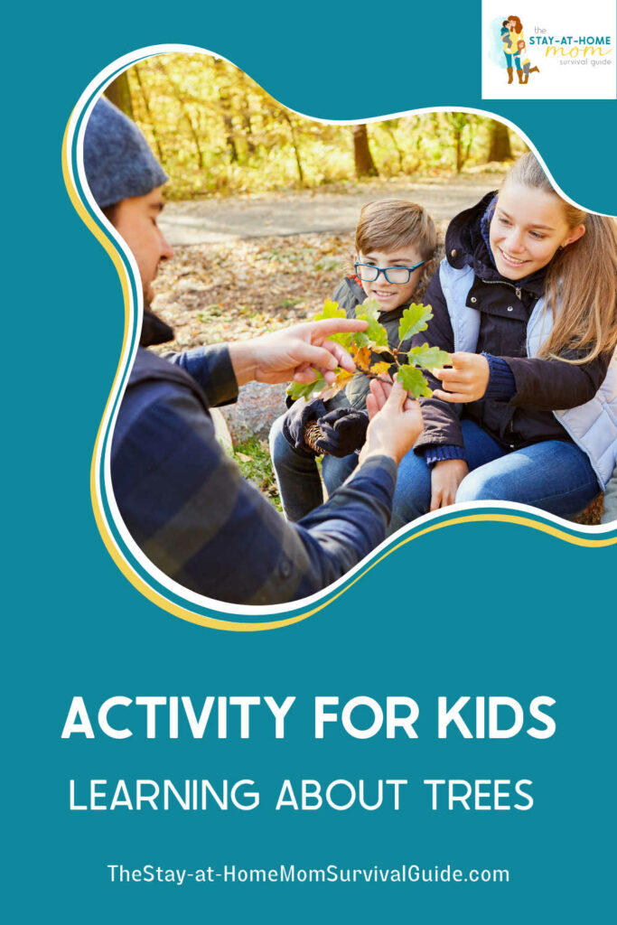 A father showing his two children a leaf. Text reads activity for kids learning about trees.