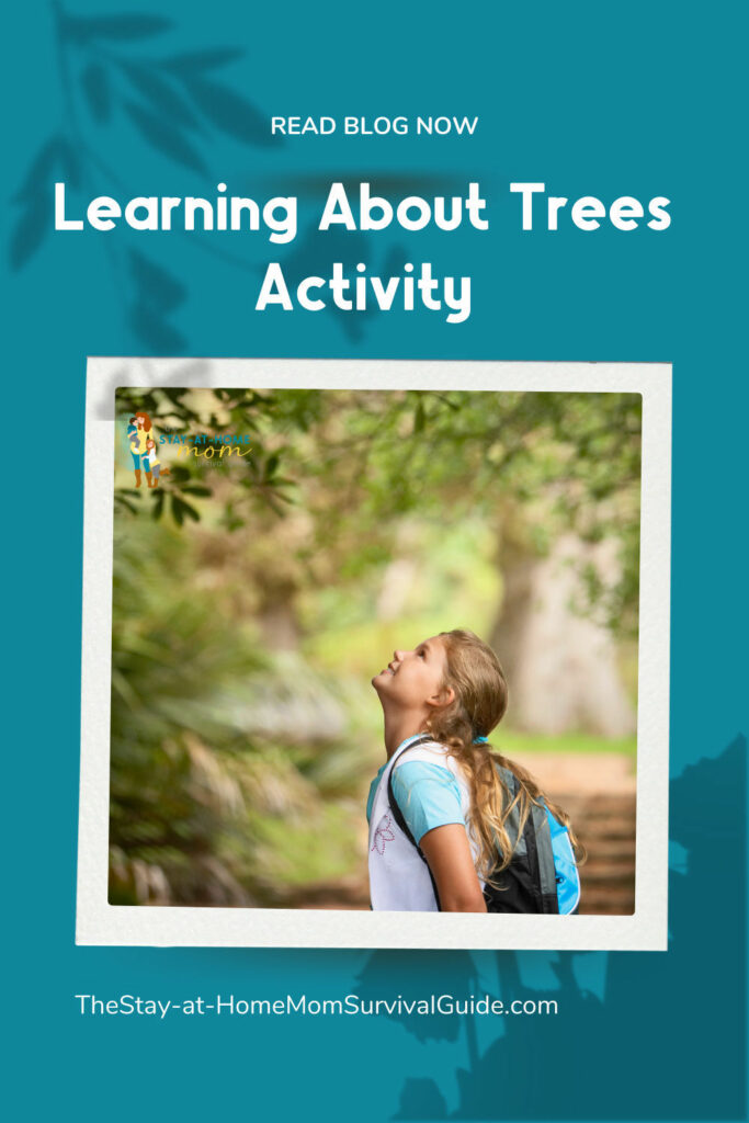 Girl looking up at a tree. Text reads learning about trees activity.