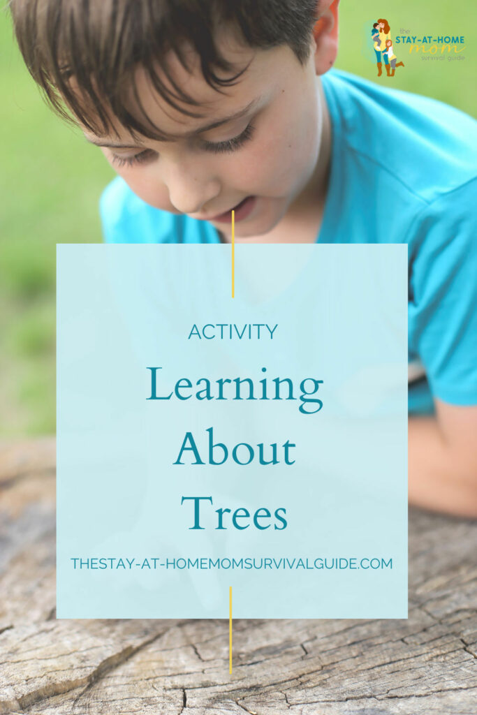Bow looking at a piece of tree branch. Text reads learning about trees.