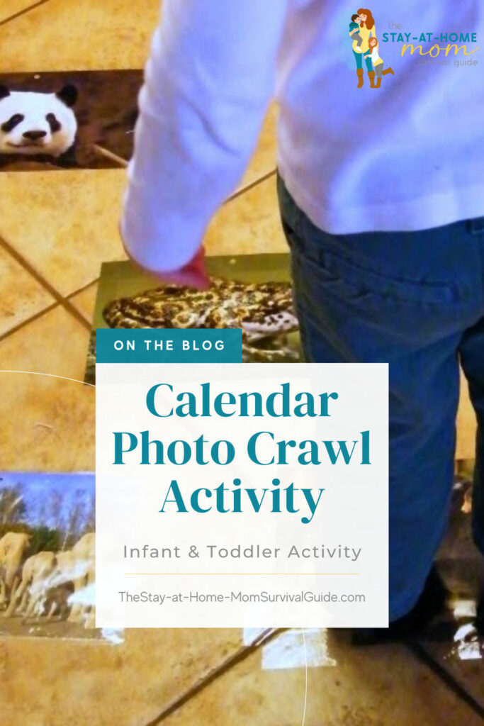 Calendar photo activity for babies and toddlers.