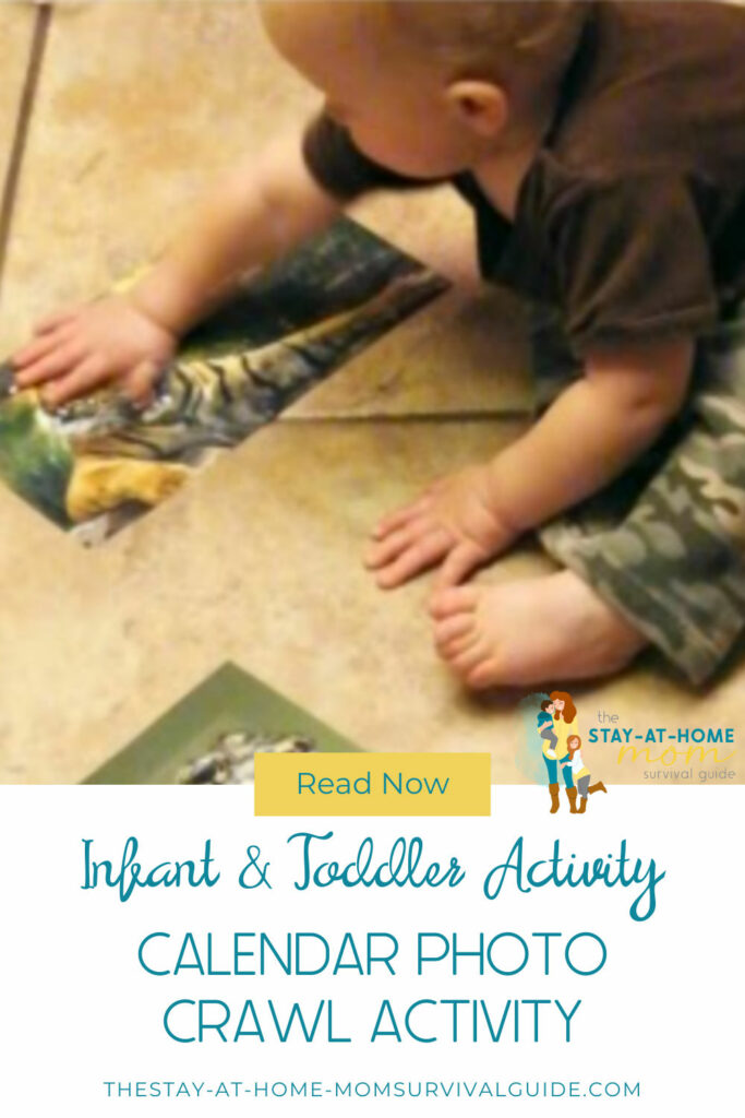 Baby and toddler animal activity for crawling and walking.