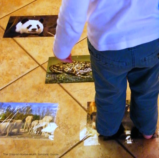 Animal names activity using calendar photos-adaptations for infants, toddlers and preschoolers from The Stay-at-Home-Mom Survival Guide.