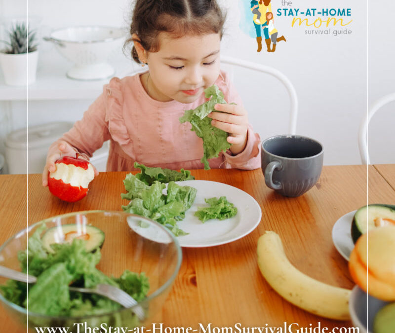 10+ Tips for Teaching Picky Eaters to Eat Healthy Foods