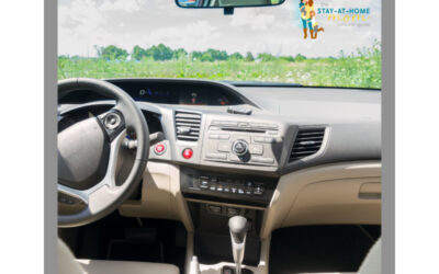 Road Trip Tip: Keep the Car Smelling Fresh