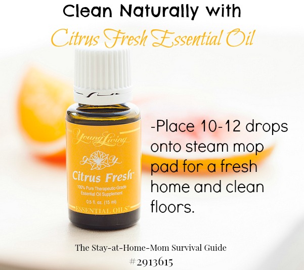 Do you use a steam mop to clean your floors? The pre-moistened cleaning mops smell better, but I like that the steam is chemical free. Here is a hack to clean naturally while still getting a fresh smelling home after!