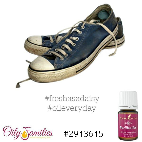 There really is an oil for every day. I am researching and experimenting with using essential oils in my home and love that they make everything smell fresh and clean all day!