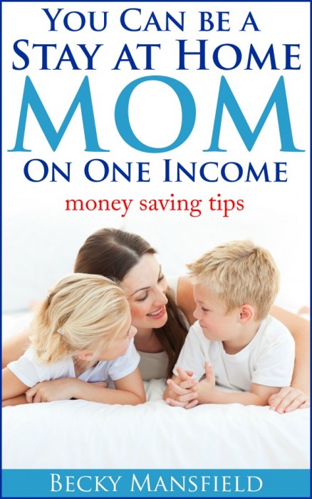 SAHM on One Income book image