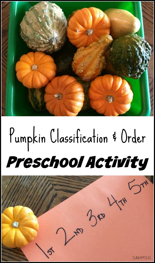 Preschool Activity: Pumpkin Classification and Order