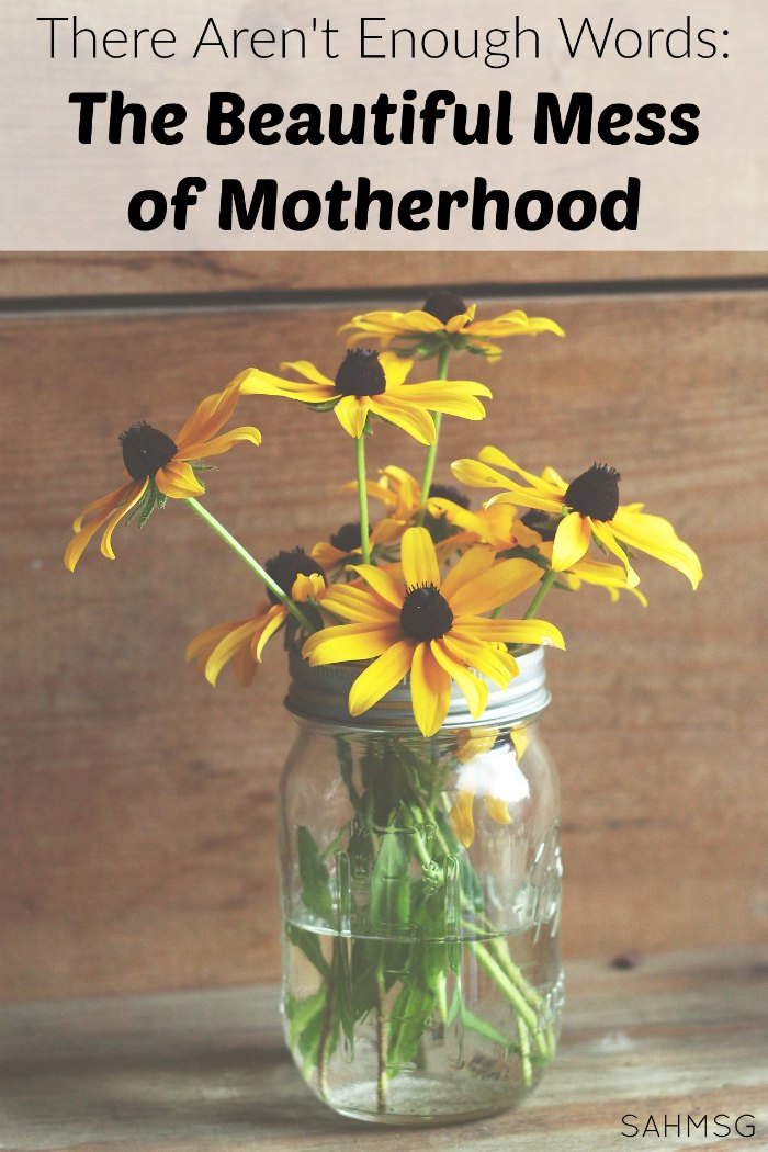 The challenges of motherhood wear me down, but there aren't enough words to say how much being a mom means to me. (Mom Motivation Mondays)