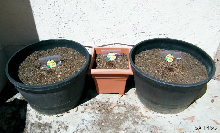 Gardening in a small backyard made simple with tips and tools..including ideas for simple DIY waterproof garden signs, and tips for gardening with kids. #ad