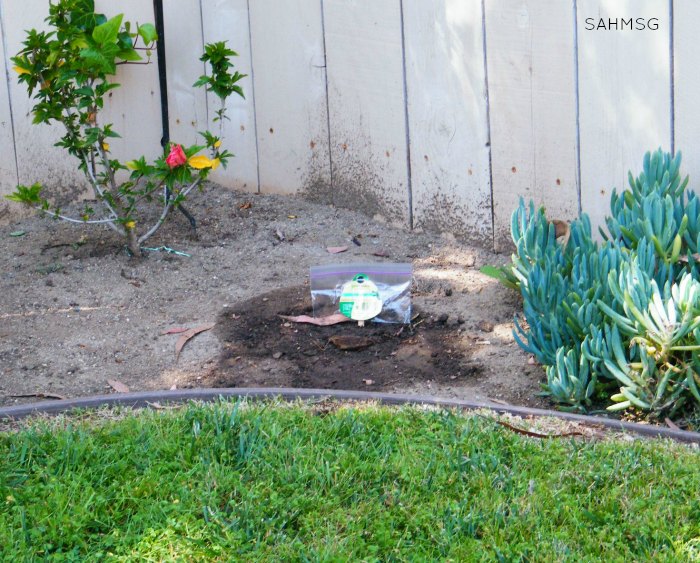 Gardening in a small backyard made simple with tips and tools..including ideas for simple DIY waterproof garden signs, and tips for gardening with kids. #ad 