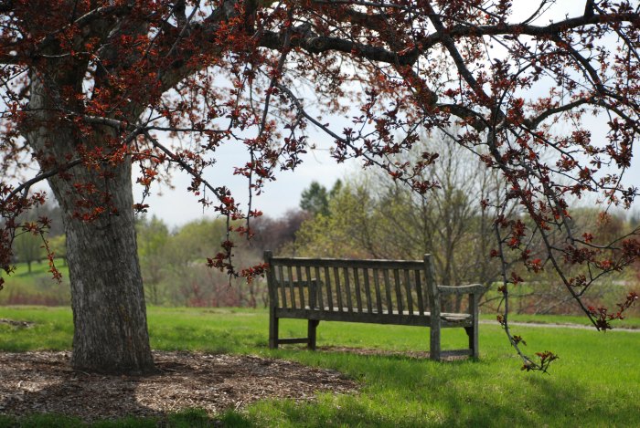 U of MN Arboretum-1 of 20 best free or cheap activities for kids in the Twin Cities, of Minneapolis and St Paul, MN.