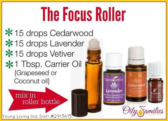 focus-roller-with-yl-number