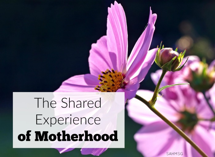 The Shared Experience of Motherhood