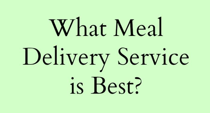 What meal delivery service is best? I took the guess work out of it for you with this comprehensive review of meal delivery service companies. 