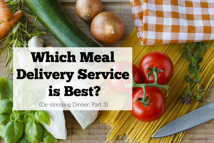 Meal Delivery Service Comparison: Which is Best?