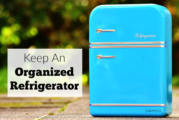 Keep an organized fridge with these tips for storing food and leftovers, as well as the best places to keep foods in your fridge.