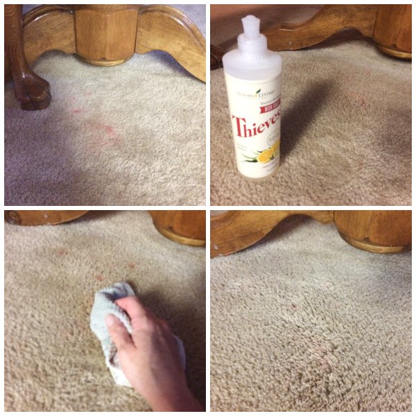DIY "bleach" works as a carpet stain remover.