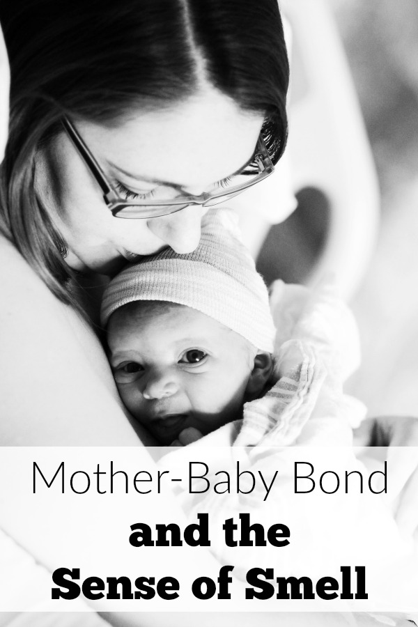 What does a mother-baby bond and sense of smell have to do with one another? A lot when you consider the brain!