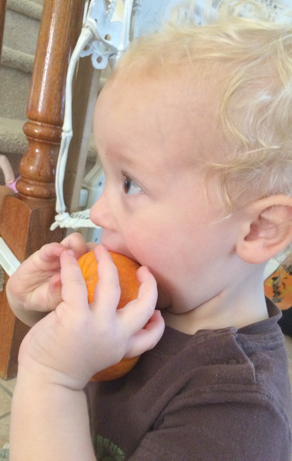 Fall is pumpkinn time! Toddler pumpkin activities help kids get hands-on learning experiences that are safe and fun. Includes Preschool pumpkin activities too.