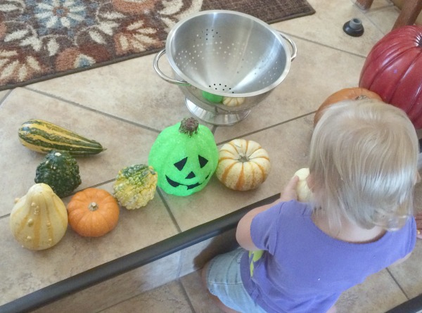 Fall is pumpkinn time! Toddler pumpkin activities help kids get hands-on learning experiences that are safe and fun. Includes Preschool pumpkin activities too.