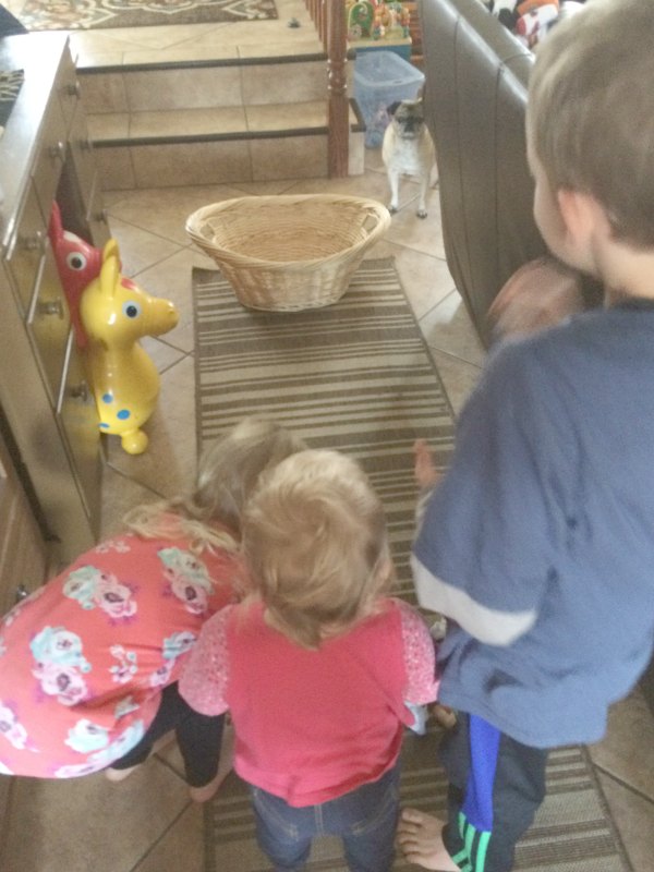 Too cold to play in the snow outside or don't have any snow where you live? Bring the snowball toss indoors for some gross motor fun for babies, toddlers, preschoolers and school age kids. This is so easy to set up with only two supplies. Great for indoor winter fun!