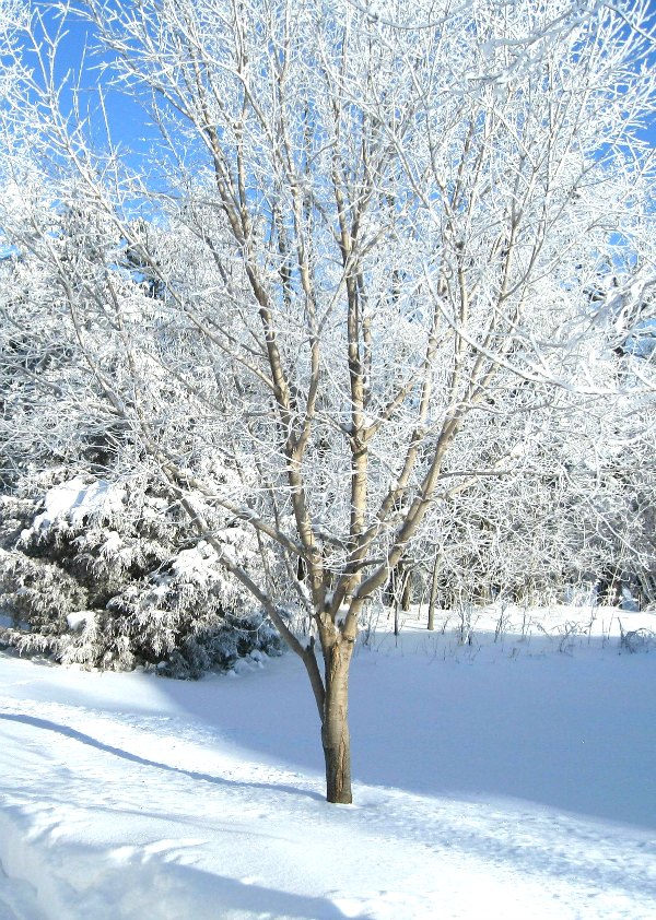 Snow day with kids is going to be fun with this list of activities that are so easy to set up and even toddlers and preschooler can do them. Great list to save for the next snow day off school.