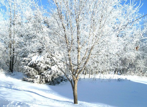 Snow day with kids is going to be fun with this list of activities that are so easy to set up and even toddlers and preschooler can do them. Great list to save for the next snow day off school.