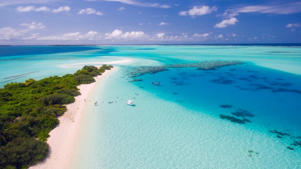 Spring Break Travel Tips