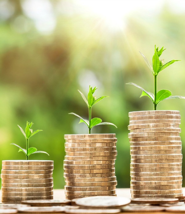 Avoid investing errors to get your budget in balance and keep your finances in order.