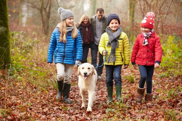 The Best Dog Breeds for Families