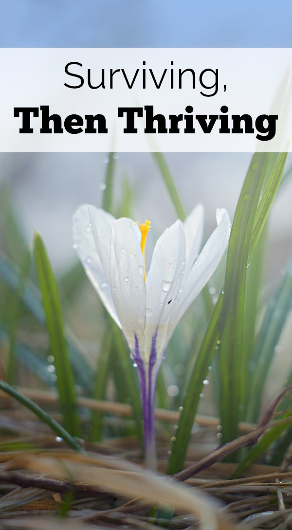 How do you get to thriving in motherhood? First surviving, then thriving with a gameplan.