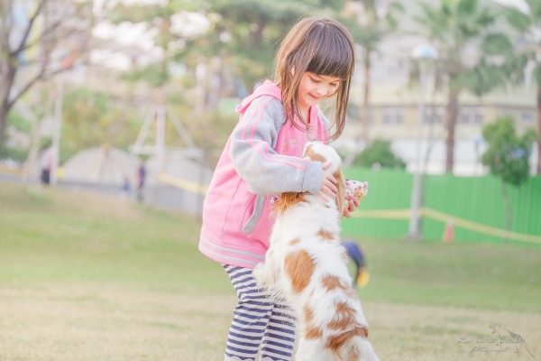 Dog Care Chore Chart for Children (by age)