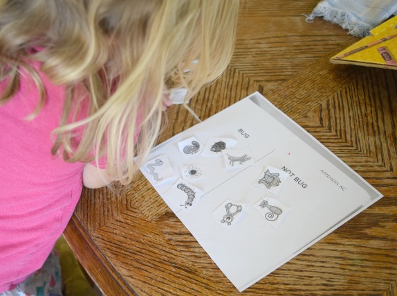 What to do with toddlers while homeschooling. Great activity ideas for toddlers and preschoolers while you are homeschooloing older kids or just need activities for learning at home.
