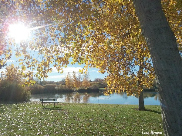 Traditional Fall family activities for kids.