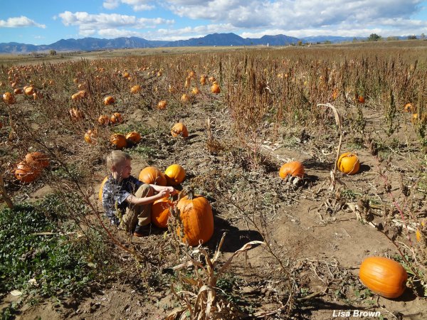 Traditional Fall Family Activities