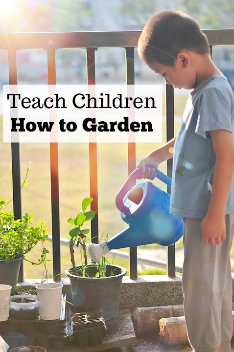 Teach children how to garden, from starting seeds indoors to transplanting outside, these tips will teach children life lessons for gardening.