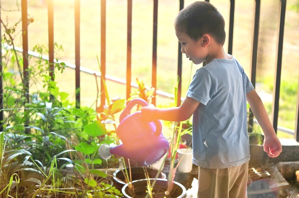 Teach Children to Garden