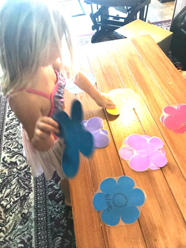 Flowers and butterflies color matching activity for preschool.