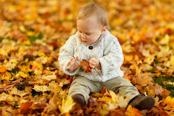 12 Fall activities for toddlers that work for preschool kids too!