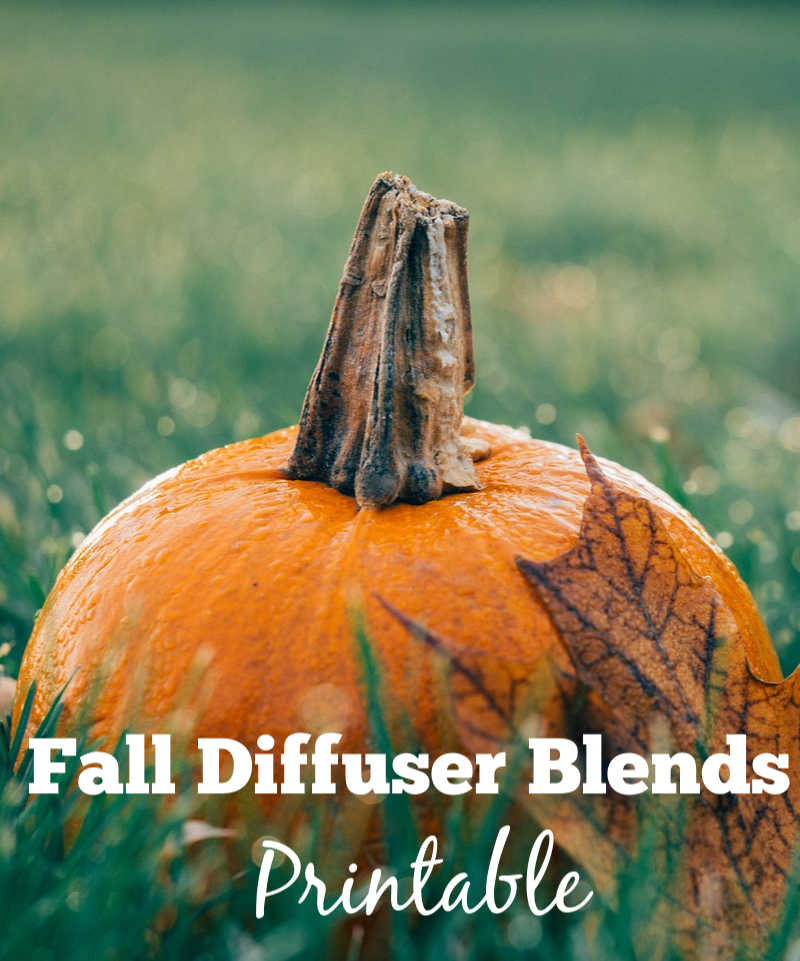Fall diffuser recipes printable