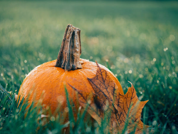Fall Diffuser Recipes Free Printable
