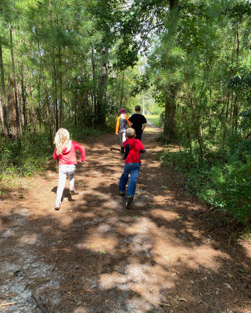 Fall preschool activities nature walk, leaf hunt, leaf collage and more.