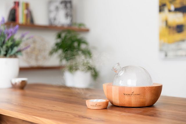Natural living gift guide has gift ideas for the naturally minded friends and family on your list.